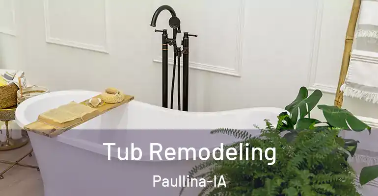 inner Bathroom imggen Tub Remodeling Paullina-IA