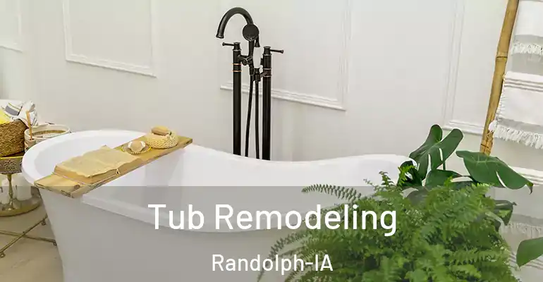 inner Bathroom imggen Tub Remodeling Randolph-IA