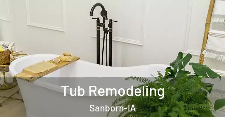inner Bathroom imggen Tub Remodeling Sanborn-IA