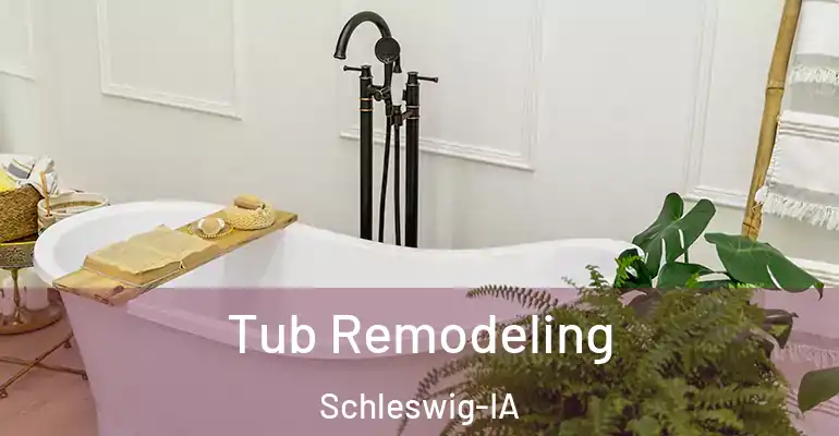 inner Bathroom imggen Tub Remodeling Schleswig-IA