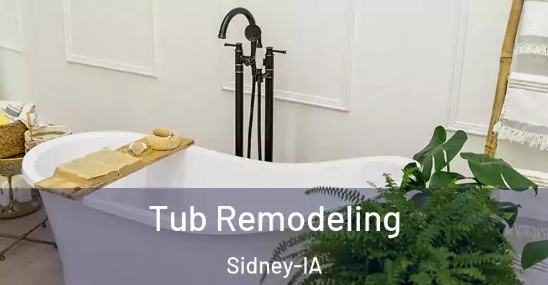 inner Bathroom imggen Tub Remodeling Sidney-IA