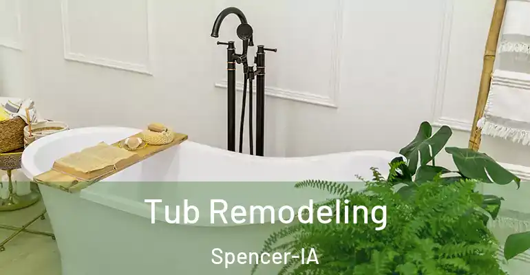 inner Bathroom imggen Tub Remodeling Spencer-IA