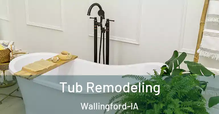 inner Bathroom imggen Tub Remodeling Wallingford-IA
