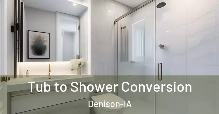 inner Bathroom imggen Tub to Shower Conversion Denison-IA