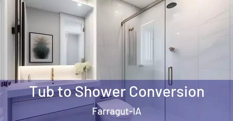 inner Bathroom imggen Tub to Shower Conversion Farragut-IA
