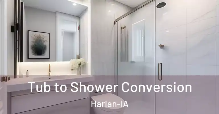 inner Bathroom imggen Tub to Shower Conversion Harlan-IA