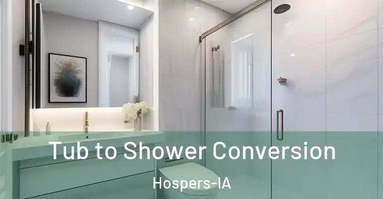 inner Bathroom imggen Tub to Shower Conversion Hospers-IA