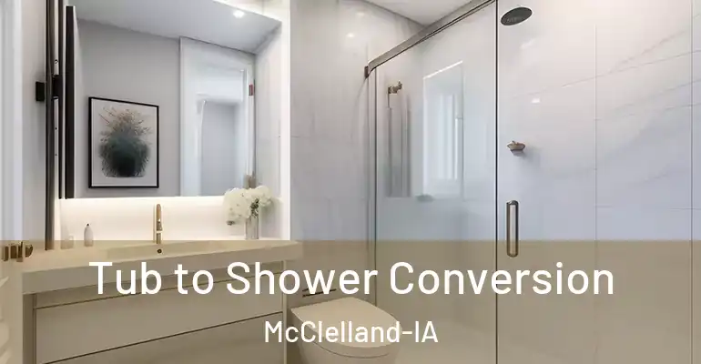 inner Bathroom imggen Tub to Shower Conversion McClelland-IA