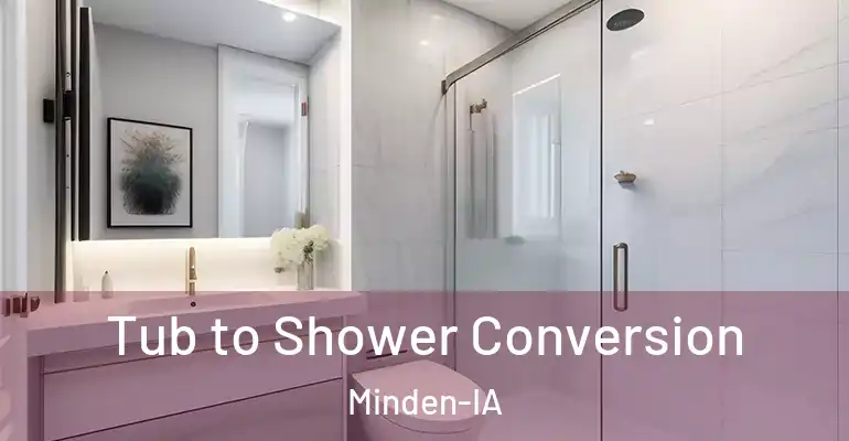 inner Bathroom imggen Tub to Shower Conversion Minden-IA