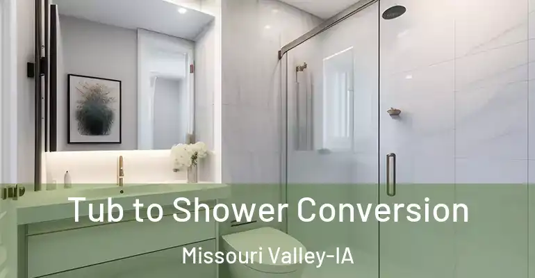 inner Bathroom imggen Tub to Shower Conversion Missouri Valley-IA