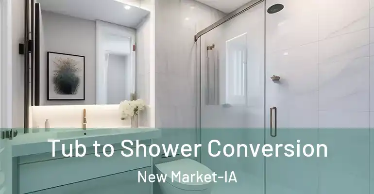 inner Bathroom imggen Tub to Shower Conversion New Market-IA