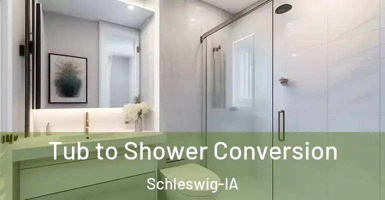 inner Bathroom imggen Tub to Shower Conversion Schleswig-IA