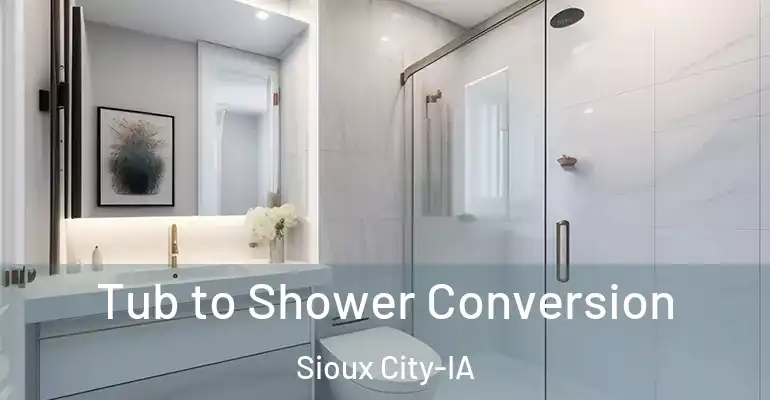 inner Bathroom imggen Tub to Shower Conversion Sioux City-IA
