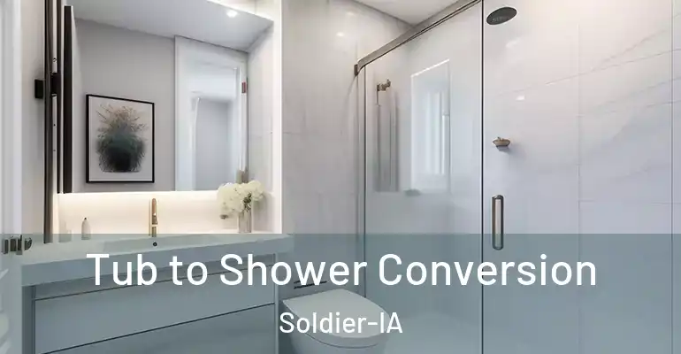 inner Bathroom imggen Tub to Shower Conversion Soldier-IA