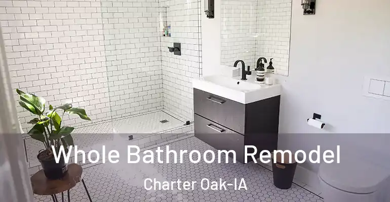 inner Bathroom imggen Whole Bathroom Remodel Charter Oak-IA