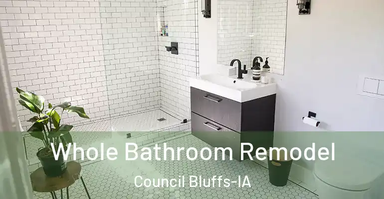 inner Bathroom imggen Whole Bathroom Remodel Council Bluffs-IA