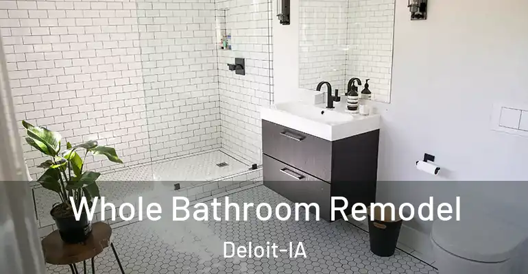 inner Bathroom imggen Whole Bathroom Remodel Deloit-IA