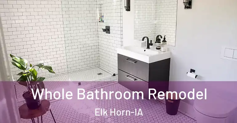 inner Bathroom imggen Whole Bathroom Remodel Elk Horn-IA