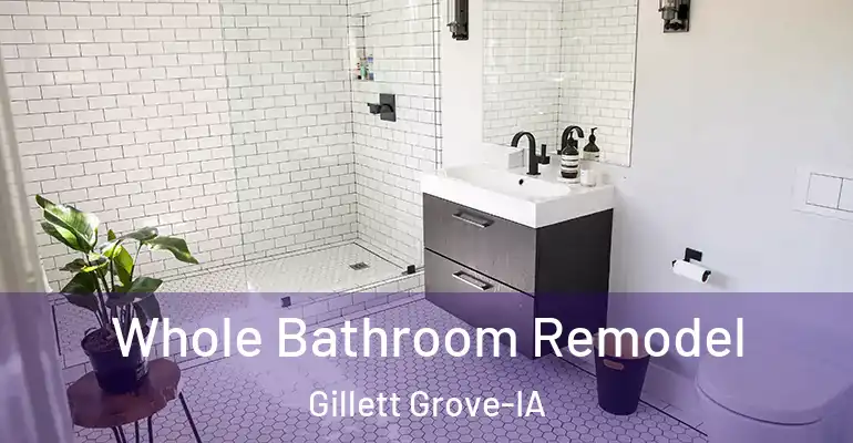 inner Bathroom imggen Whole Bathroom Remodel Gillett Grove-IA