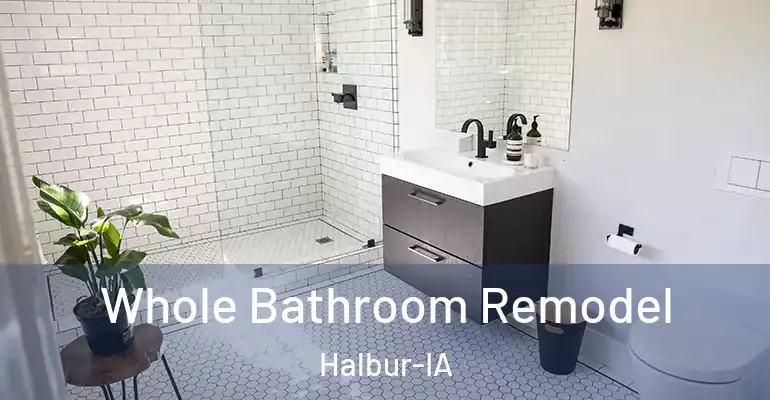 inner Bathroom imggen Whole Bathroom Remodel Halbur-IA