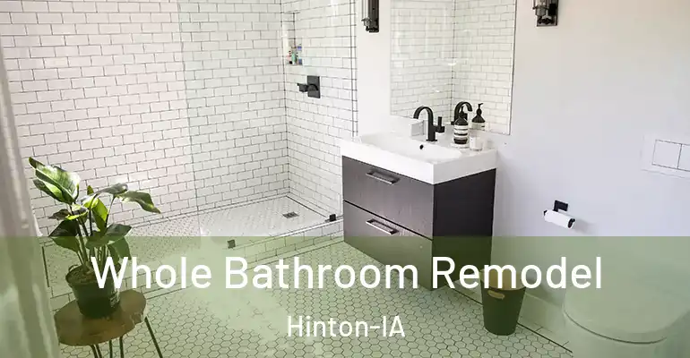 inner Bathroom imggen Whole Bathroom Remodel Hinton-IA