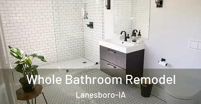 inner Bathroom imggen Whole Bathroom Remodel Lanesboro-IA
