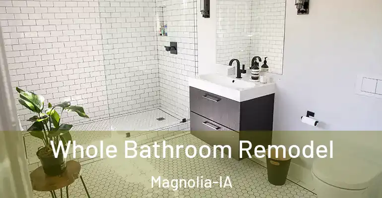 inner Bathroom imggen Whole Bathroom Remodel Magnolia-IA