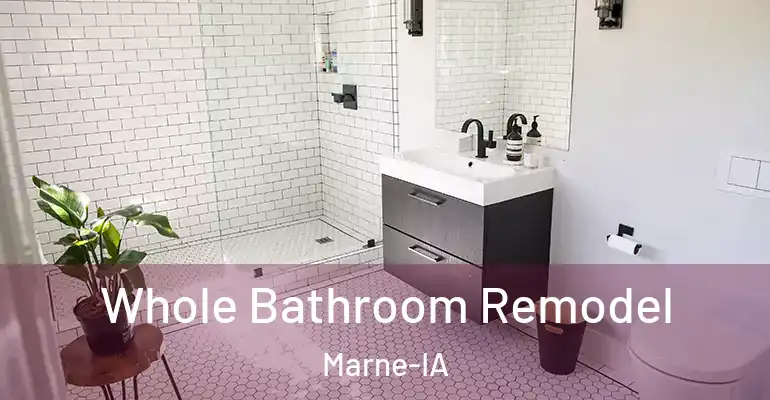inner Bathroom imggen Whole Bathroom Remodel Marne-IA