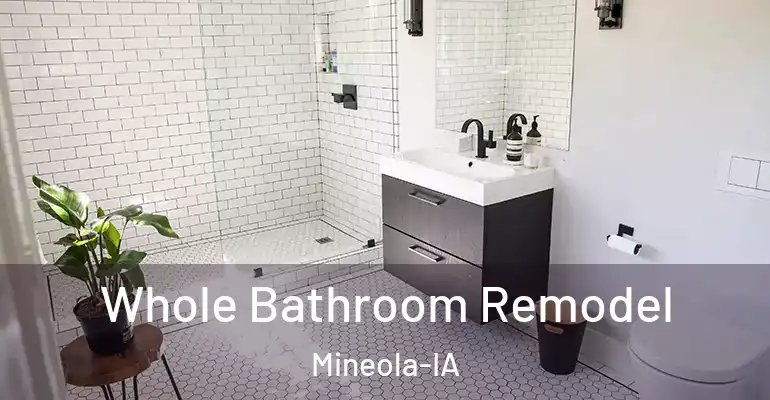 inner Bathroom imggen Whole Bathroom Remodel Mineola-IA