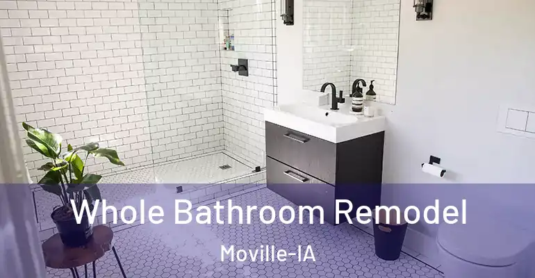 inner Bathroom imggen Whole Bathroom Remodel Moville-IA