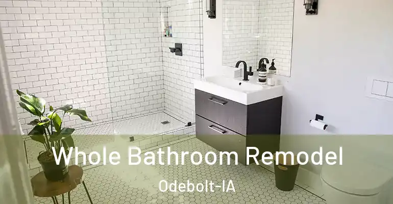 inner Bathroom imggen Whole Bathroom Remodel Odebolt-IA