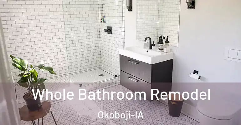 inner Bathroom imggen Whole Bathroom Remodel Okoboji-IA