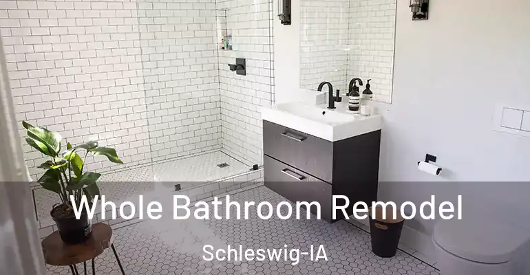 inner Bathroom imggen Whole Bathroom Remodel Schleswig-IA