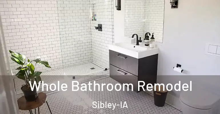 inner Bathroom imggen Whole Bathroom Remodel Sibley-IA