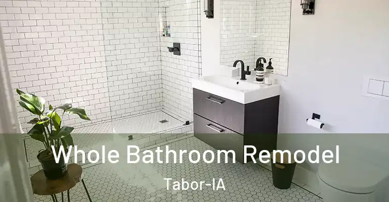 inner Bathroom imggen Whole Bathroom Remodel Tabor-IA